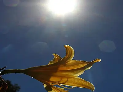 Terça-Feira de Sol: Mato Grosso do Sul Com tempo quente e seco