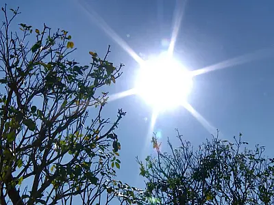 Quarta-feira de tempo firme e aumento de temperaturas: termômetros podem alcançar 40°C em MS
