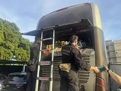 Carga de 750 kg de cocaína é descoberta em ônibus que cruzava a fronteira de MS
