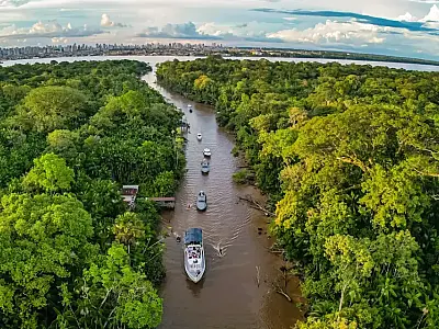 Em 40 anos, Amazônia perdeu área de vegetação do tamanho da França
