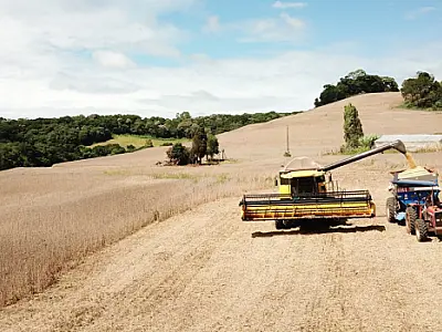 Conflito no Oriente Médio pode impactar o agronegócio brasileiro, incluindo Mato Grosso do Sul