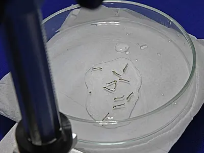 Mortes confirmadas em MS aumentam urgência de medidas preventivas contra a dengue