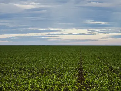 Fazenda estuda criação de um Fundo Garantidor para dívidas rurais