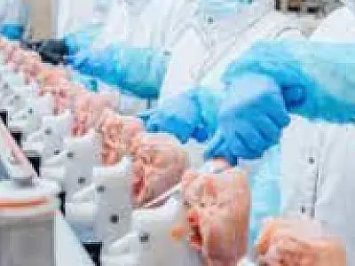China suspende exportações de frango de três frigoríficos de MS