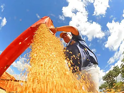 Agropecuária ajudou oito estados a crescerem mais que o Brasil em 2023