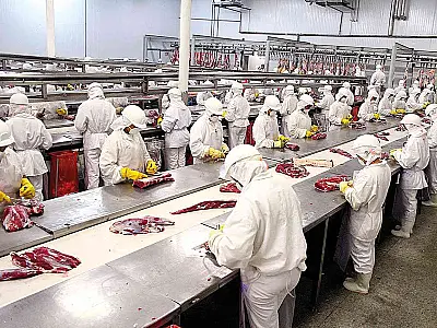 Impacto da desaceleração econômica chinesa nas exportações de Mato Grosso do Sul