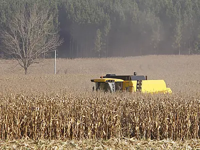 BNDES lança crédito especial para cooperativas agropecuárias em regiões afetadas pelo clima