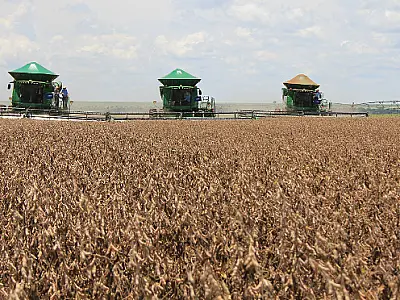 Projeções para safras de soja e milho 2024-2025