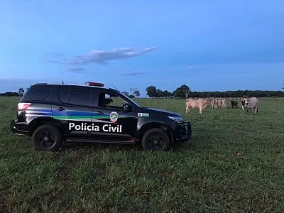 Polícia Civil/ MS e Ministério da Justiça realizam Operação contra furtos em propriedades rurais