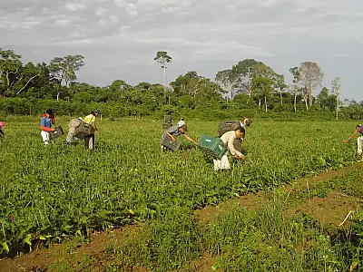 Lista de desconto em crédito para a agricultura familiar é ampliada