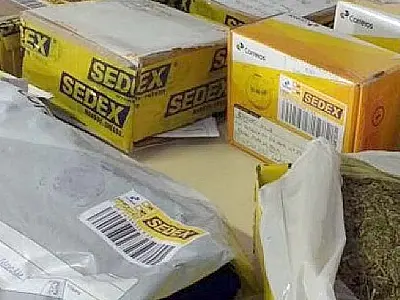 Polícia Federal combate quadrilha que envia drogas pelos Correios