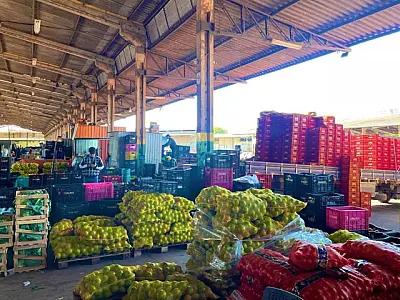 MS amplia presença na Ceasa e cresce 18,78% em volume de produtos comercializados