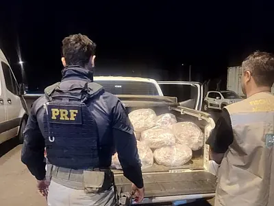 PRF e Iagro realizam Operação Agro-Seguro no MS para combater crimes ambientais
