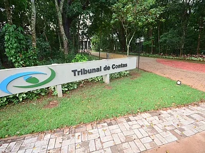 TCE-MS barra licitação de quase R$ 800 mil da Defensoria por falhas no edital