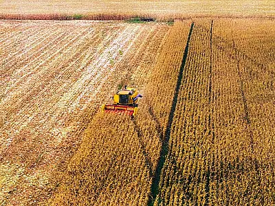 Mato Grosso do Sul supera crescimento econômico nacional e deve avançar mais de 5,5%