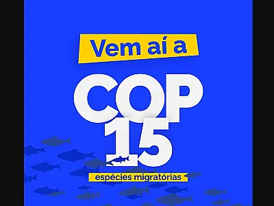 COP15 deve gerar gasto mínimo de R$ 10 milhões ao governo de MS
