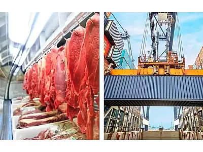 Mato Grosso do Sul alcança marca histórica em exportações de produtos industriais 