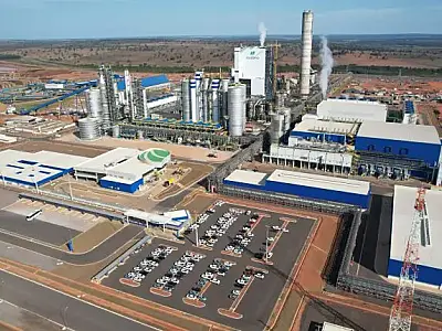 Suzano atinge recorde de 1 milhão de toneladas de celulose em Ribas do Rio Pardo (MS)