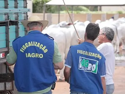 Governo de MS anuncia concurso para fiscalização e defesa sanitária na Iagro