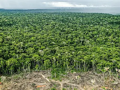 BNDES destina R$ 7,3 bi ao Fundo Clima para impulsionar projetos sustentáveis no Brasil