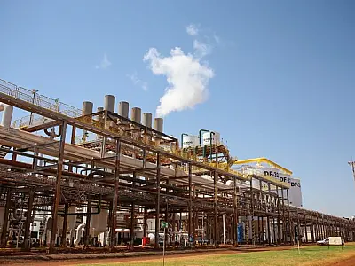 MS projeta produção histórica de etanol na safra 2025/2026