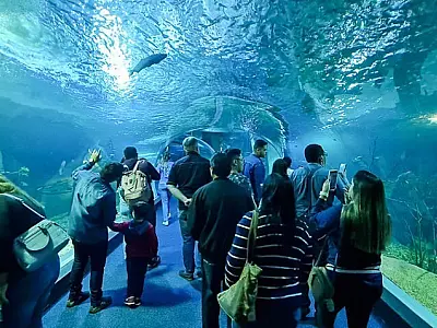 Bioparque Pantanal abre com horário especial durante o feriado em Campo Grande
