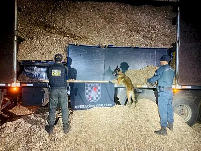 Polícia Militar do DOF intercepta mais de 5 toneladas de maconha em caminhão com fundo falso