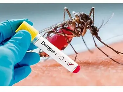 Alerta: Dengue avança na fronteira de Mato Grosso do Sul