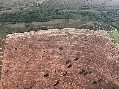 Desmatamento ilegal persiste no Pantanal de MS