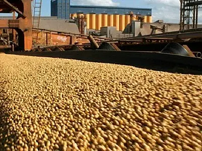 Mato Grosso do Sul destina R$ 14,4 milhões para fortalecer o agronegócio
