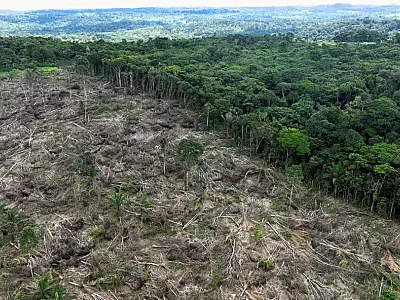 Agronegócio brasileiro se mobiliza em resposta à Lei Antidesmatamento da União Europeia