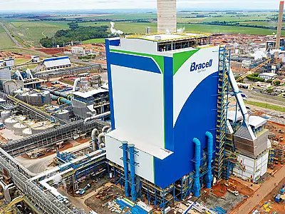 Mato Grosso do Sul projeta 100 mil empregos com nova fábrica de celulose da Bracell