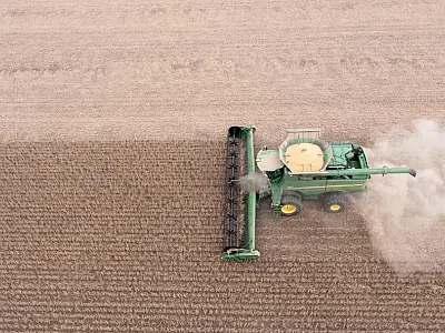 Mato Grosso do Sul antecipa aumento de 3% na produção de soja para o ciclo 2023/2024