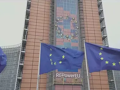 Governo disponibiliza plataforma para mapear oportunidades com acordo MercosulUnião Europeia