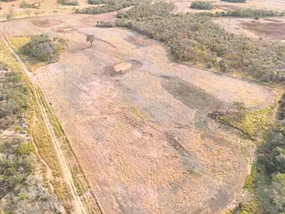 Queimadas ilegais em 280 hectares viram alvo de investigação em Bela Vista