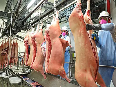 Carne suína perde terreno para a bovina, mas mantém vantagem sobre a de frango em agosto