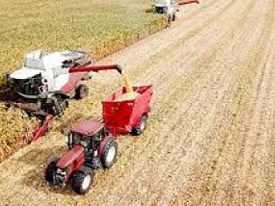 Mudanças no Proagro levantam preocupações sobre futuro da produção agrícola em Mato Grosso do Sul