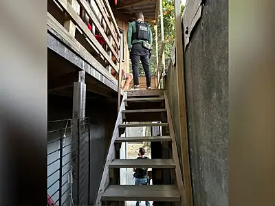 Esquema com atestados falsos facilitava saída de detentos em SC, aponta investigação