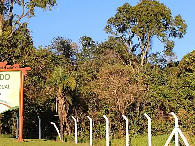 Decreto limita altura de construções no entorno do Parque do Prosa