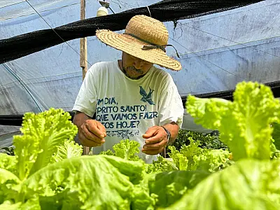 Prefeitura de Campo Grande abre chamada pública para agricultores familiares fornecerem alimentos