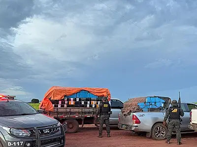 DOF intercepta carregamento de maconha avaliado em R$ 20,8 milhões