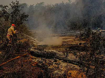Seca extrema e aumento do risco de incêndios em 2024 colocam o Pantanal em alerta