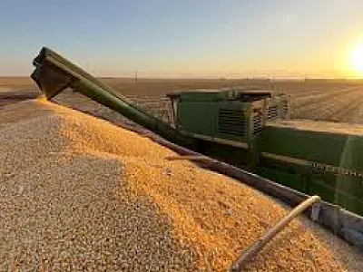 Tarifas de Trump podem beneficiar o agro brasileiro, mas indústria acende alerta