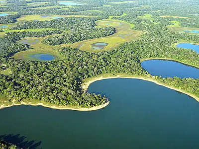 Pantanal de MS deve enfrentar oitavo ano consecutivo de estiagem