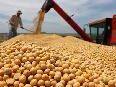 Preço da soja apresenta leve alta em Mato Grosso do Sul