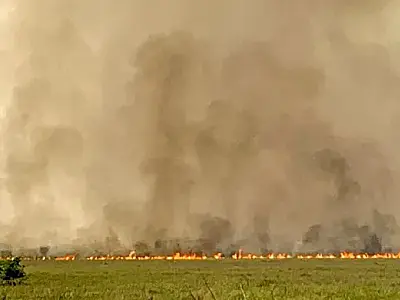 Governo de MS declara estado de emergência em 5 municípios diante do caos dos incêndios no Pantanal