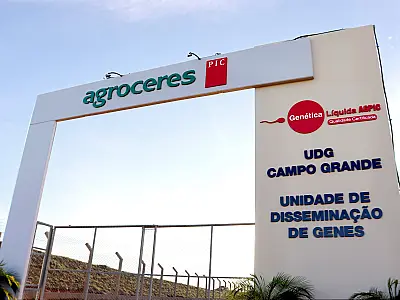 Mato Grosso do Sul ganha nova unidade de disseminação de genes para suinocultura