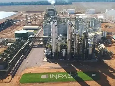 Mato Grosso do Sul teve 2ª maior produção de etanol de milho no Brasil