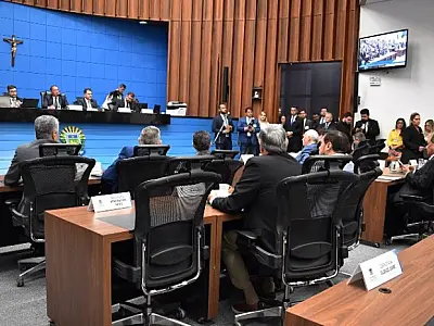 ALEMS assume papel mediador para discutir legislação ambiental sustentável no Pantanal