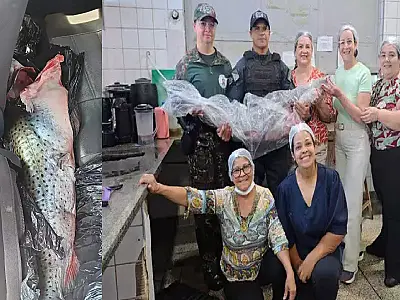 Pintado de 21 kg apreendido durante a Piracema é entregue ao Hospital da Vida